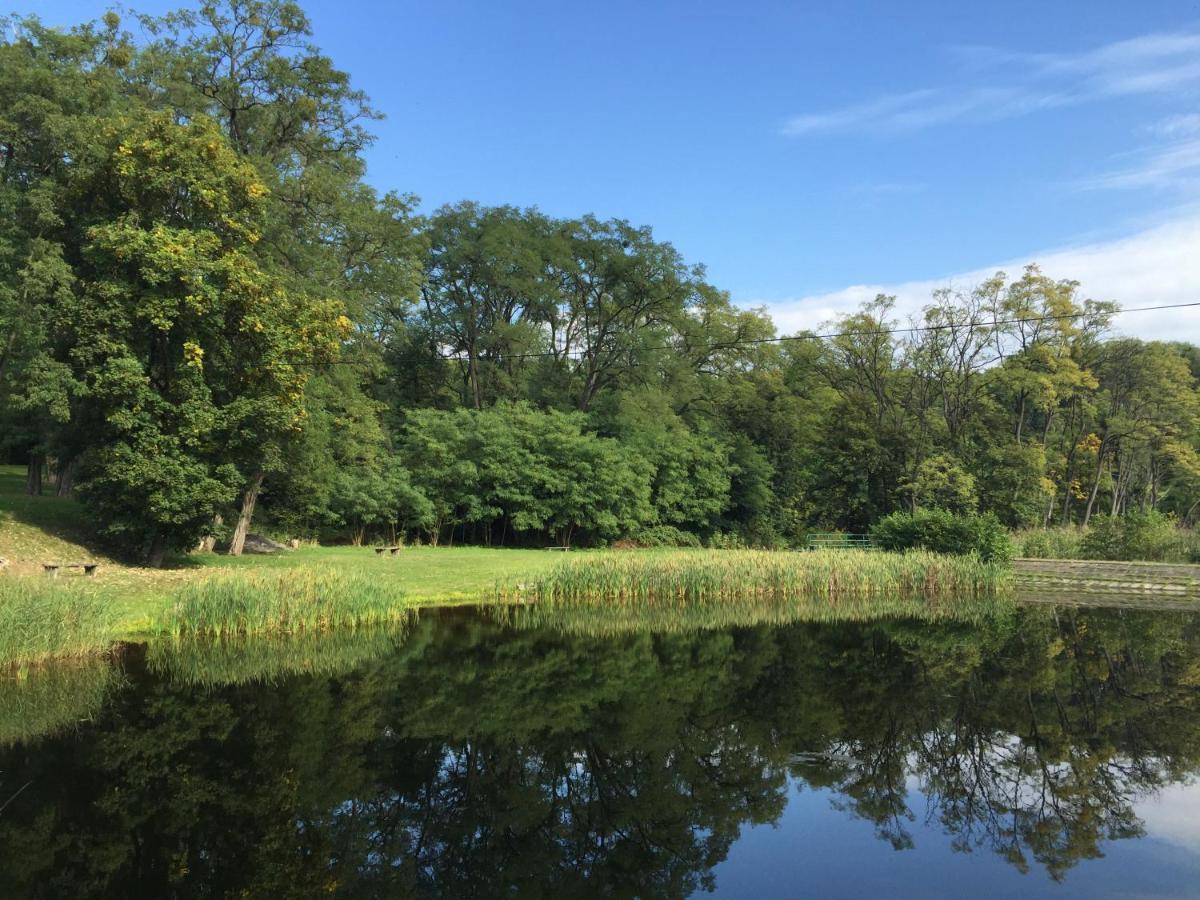 Camping Lesne Ustronie Hotel Witnica Eksteriør billede