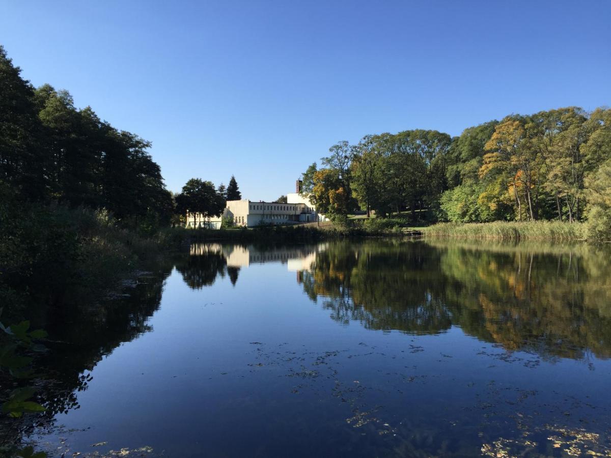 Camping Lesne Ustronie Hotel Witnica Eksteriør billede